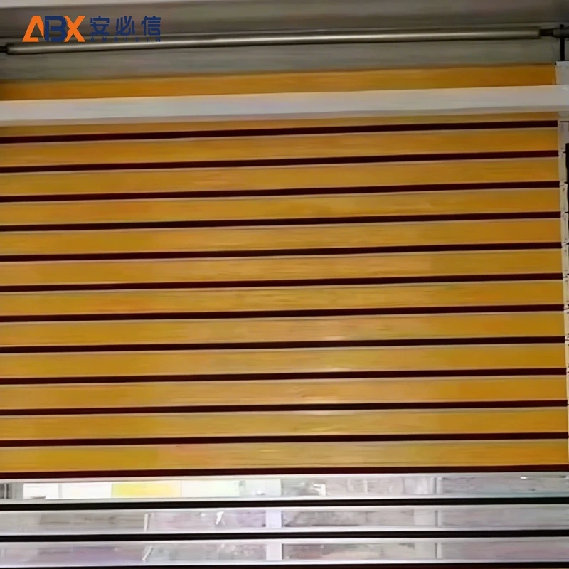 荆州市感应高速门